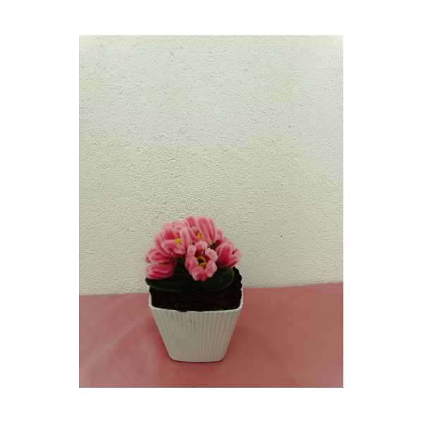 SAKSIDA PEMBE LALE