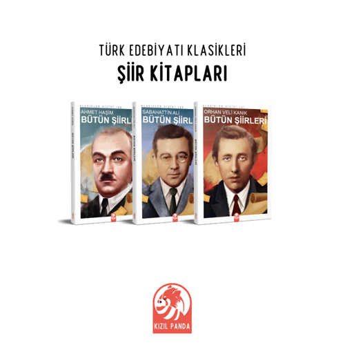 ŞİİR KİTAPLARI SETİ (3 KİTAP)