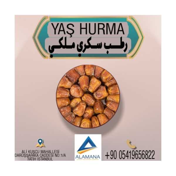 YAŞ HURMA