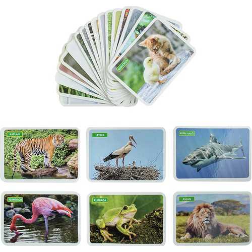 DIYTOY İLK 50 HAYVAN FLASH CARDS 12 AY ÜZERİ