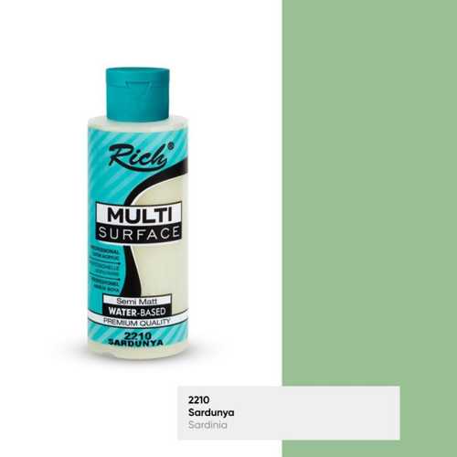 RİCH MULTİSURFACE 120ML 2210 SARDUNYA