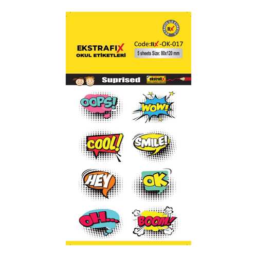 EKSTRAFİX (OK-017) OKUL ETİKET 80X120MM Q