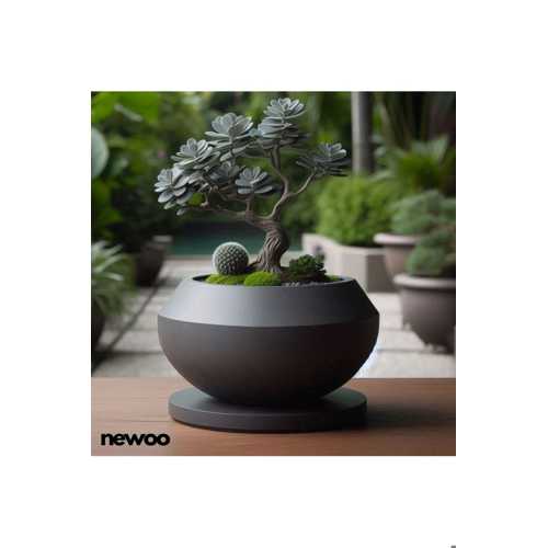 MODERN JAPON TASARIM DOĞAL PLASTİK BONZAİ SAKSILIK - BONSAİ VASE