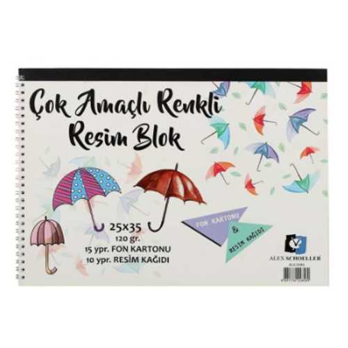 ALEX RESİM KAĞIDI+ FON KARTON SPİRALLİ 25YP 25X35