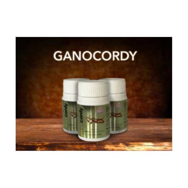 GANO CORDY 60 ADET