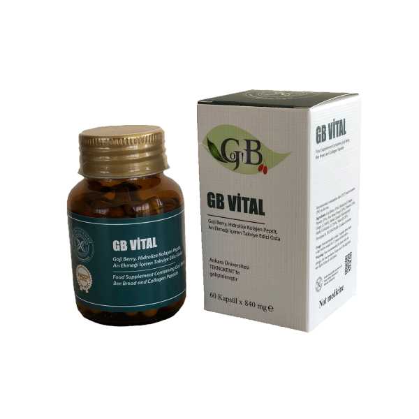 GB VİTAL