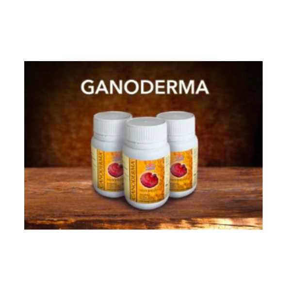 GANODERMA 90 ADET