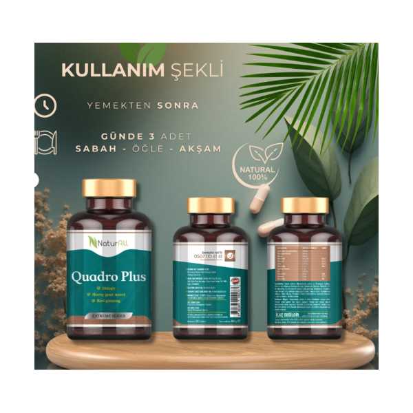QUADRO PLUS