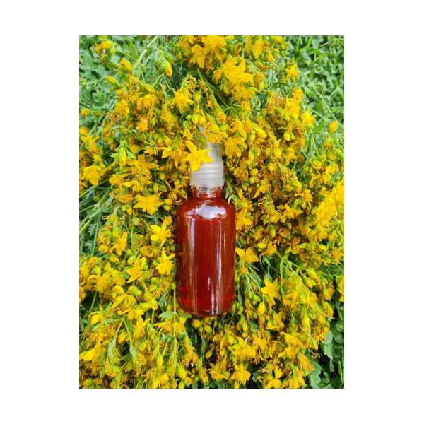 KIRMIZI KANTARON YAĞI - 50 ML