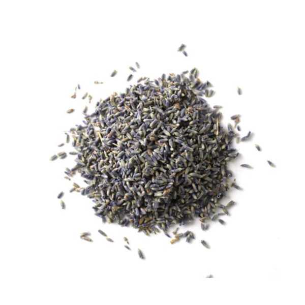LAVANTA ÇİÇEĞİ KURUSU 