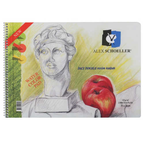 ALEX RESİM DEFTERİ SPR 25X35 120GR 15YP