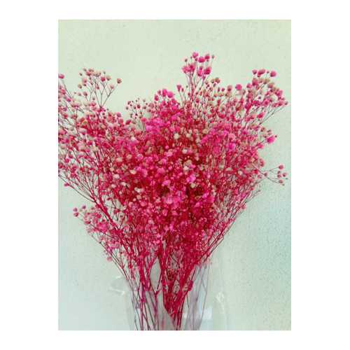 ESSE BAHÇE ŞOKLU CİPSO PEMBE 50 Lİ PAKET