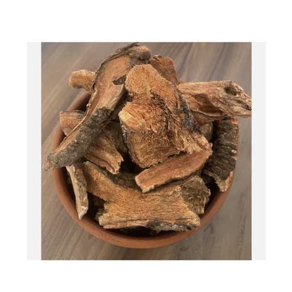 IŞKIN RAVENT KÖKÜ ( 1 KG )