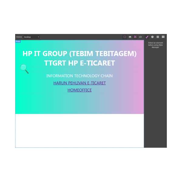 WEB EDİTÖR 