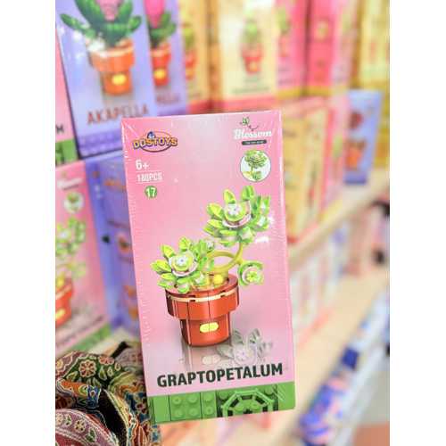 DOST GRAPTOPETALUM ÇİÇEK LEGO