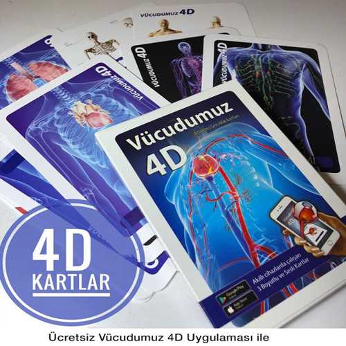 4D EĞİTİCİ SETLER