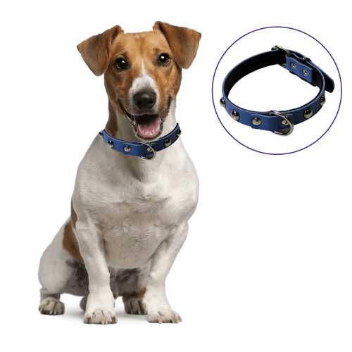 YUMUŞAK DOKULU DERİ KÖPEK GEZDİRME BOYUN TASMASI (LARGE) (4172)