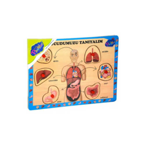 AHŞAP TUTMALI PUZZLE - VÜCUDUMUZU TANIYALIM (MAVİ)